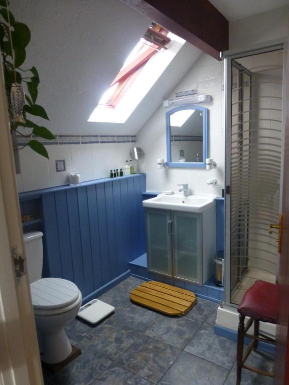 Ty Carreg Bed & Breakfast Llanwrtyd Wells Room photo